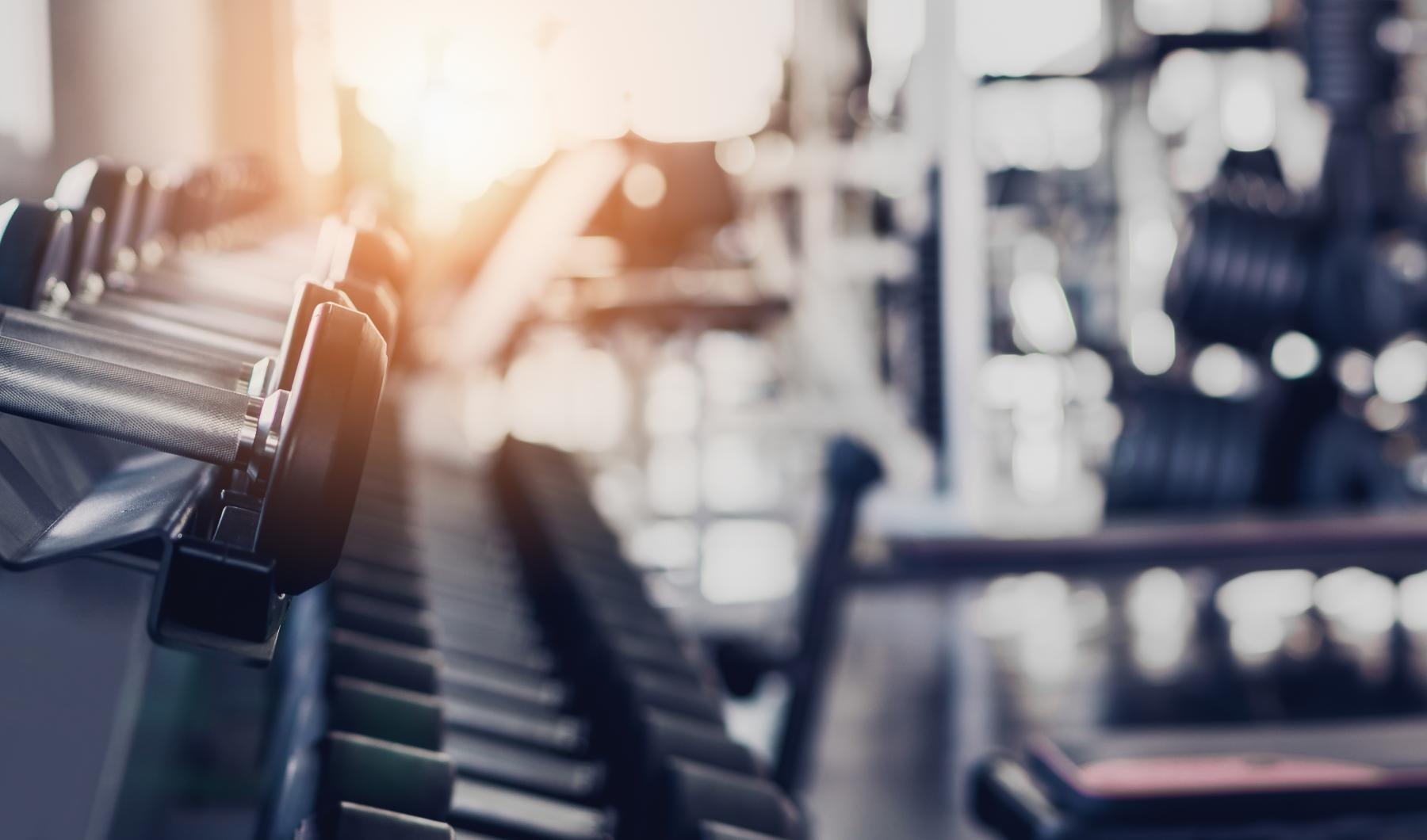 dumbbells on a rack